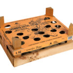 Etteidandatud seemnekartul