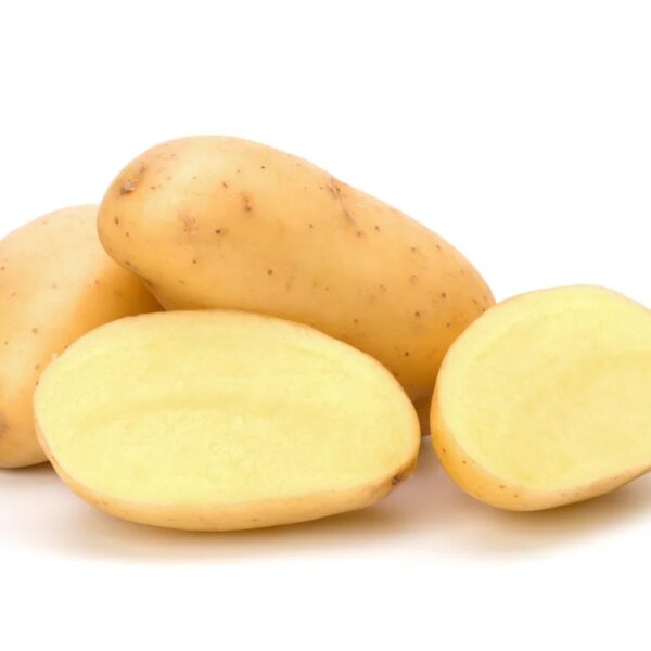 Melody - B kategooria